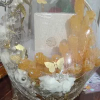 شاخه نبات داماد