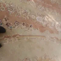 با سلام  فرش دست دوم|فرش|طسوج, |دیوار