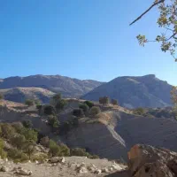 بیمه تکمیلی ما گچساران