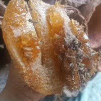 عسل صدرصد درمانی|خوردنی و آشامیدنی|اسکو, |دیوار