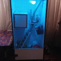 قفس مدل اروپایی