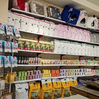 پت شاپ (ارسال رایگان به سراسر جزیره)