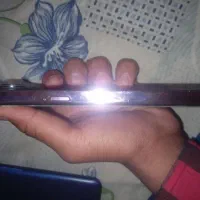 وقط فروش|موبایل|زواره, |دیوار