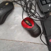 لوازم جانبی رایانه|قطعات و لوازم جانبی رایانه|لاهیجان, گلستان|دیوار