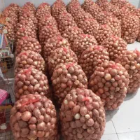 پیازخوردنی