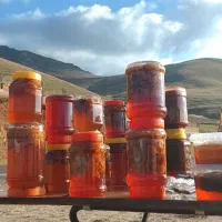 عسل چند گیاه کوهستان