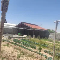 آلاچیق سقف سفال طبرستان شیروانی|خدمات پیشه و مهارت|اصفهان, براآن شمالی|دیوار