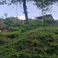 زمین دارای پروانه ساخت در سوادکوه شمالی منطق لفور|فروش زمین و ملک کلنگی|شیرگاه, |دیوار