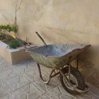 فرقون