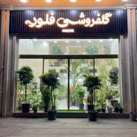 استودیو گل فلور