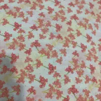 بدون نام|لباس|میناب, |دیوار