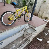 دوچرخه کورسی|دوچرخه، اسکیت، اسکوتر|رشت, دیانتی|دیوار