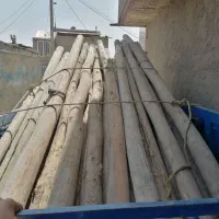 خرید چوب|خدمات باغبانی و درختکاری|گلبهار, شهر جدید گلبهار|دیوار