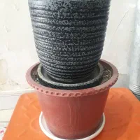 گلدان