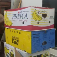 کارتون موزی