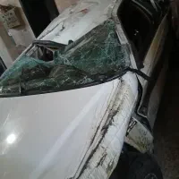 پارسelxتصادفی