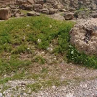 زمین شهرک فرهنگیان