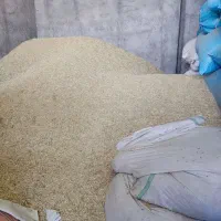 فروش کاه گندم دیم|لوازم جانبی حیوانات|کنگاور, |دیوار