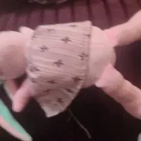 عروسک