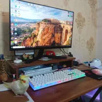 سیستم گیمینگ کامل + مانیتور (گیمینگ و رندرینگ)