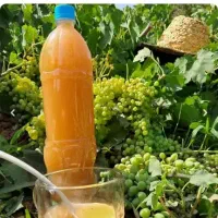 آبغوره خانگی ارگانیک بدون نمک