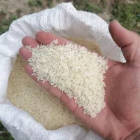 برنج هاشمی