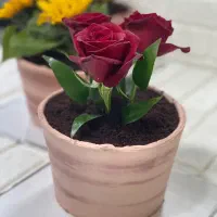 آموزشی هنری
