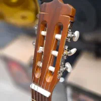 گیتار پارسی D6 ( آموزشگاه موسیقی سینا )|گیتار، بیس، امپلیفایر|پردیس, فاز ۲|دیوار