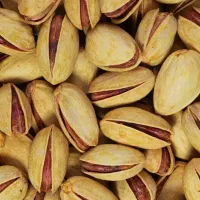 پیوند درخت پسته ...