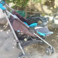 کالسکه فروشی