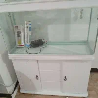 اکواریوم شیشه خم اکبند یک متری|ماهی|خرمآباد, |دیوار