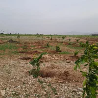 کویک ۱۴۰۲ gxr