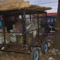 گاری قیمت مناسب