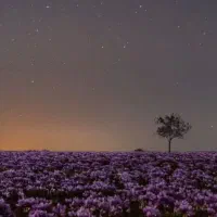 سرکتاب و دعانویس از بلوچستان