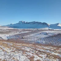 طرح عمان 3 جریبی سامان