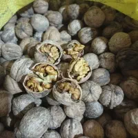 گردو لشکری
