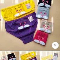 فروش عمده لباس زیر زنانه زیر قیمت بازار