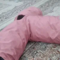 تونل گربه|گربه|مشهد, گلبرگ|دیوار