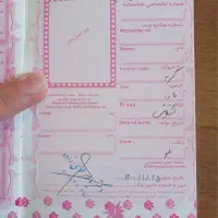 گربه اسکاتیش ماده|گربه|بابلسر, |دیوار