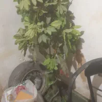 درخت مصنوعی