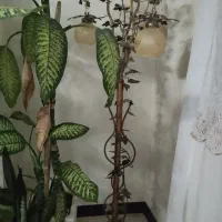 یک جفت آباژور ایستاده