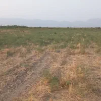 فروش-زمین-کشاورزی-در-روستای-شمیل