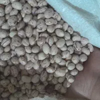 لوبیا چیتی درجه یک