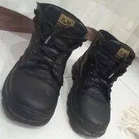 نیم پوت سالم زیر قیمت