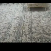 فرش ۱۲۰۰ شانه تراکم ۳۶۰۰ دو عدد ۹ متری
