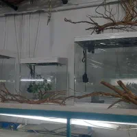 انواع آکواریوم شرکتی رسید