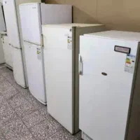 خرید وفروش انواع سوخته پوسیده سالم سراسر مشهد