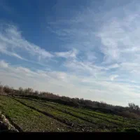 فروش-زمین-باغ-ویلا