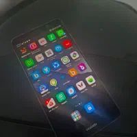 MATE 9