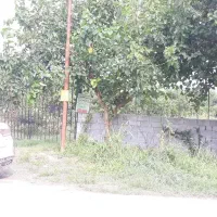 ۲۲۰ متر خونه باغ بین بابل امل احمد چاله پی|فروش زمین و ملک کلنگی|زرگرشهر, |دیوار